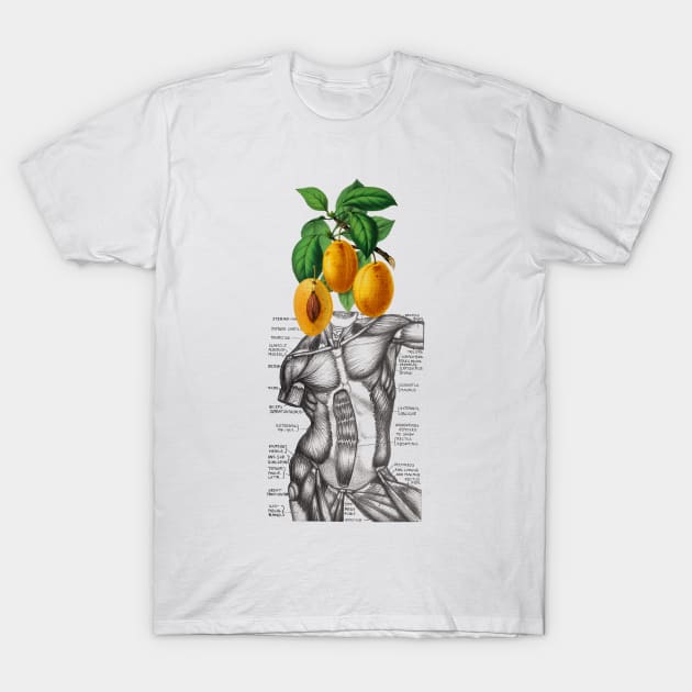 Fruity Nature T-Shirt by reesea